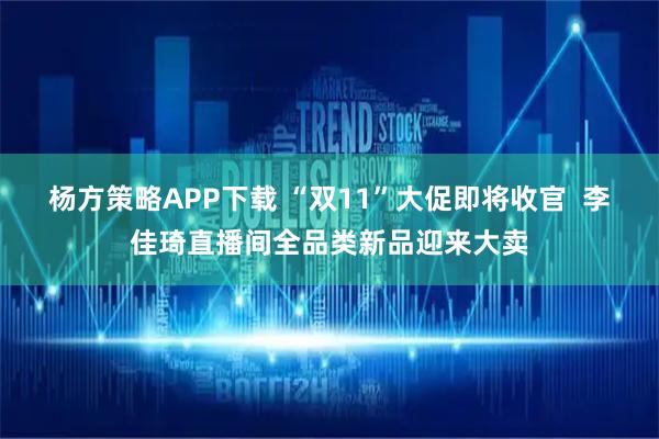杨方策略APP下载 “双11”大促即将收官  李佳琦直播间全品类新品迎来大卖